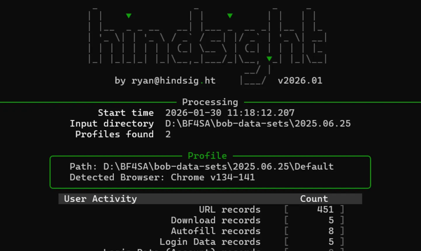 Hindsight CLI output